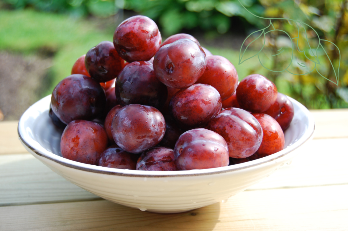 Cobbler aux Prunes