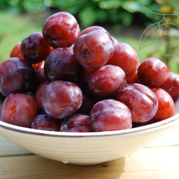 Cobbler aux Prunes