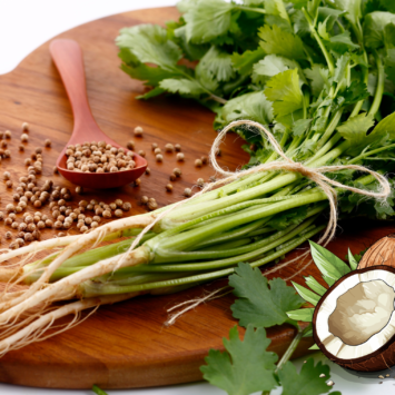Crevettes au Lait de coco et Coriandre