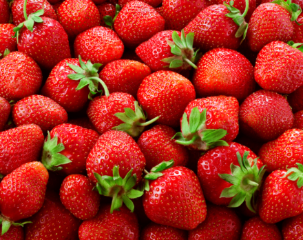 Tarte aux fraise, pistaches et sarrasin sans cuisson
